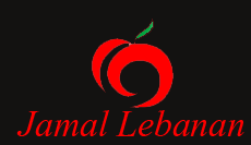 JAMAL LEBANAN QATAR
